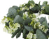FLORLAB - Eucalyptus Wreath - 16 Inches - Farmhouse Wreath - Front Door Wreath - Door Decor - Green Wreath - for Indoors - Small Wreath - Mini Wreath - Perfect Spring Summer Wreath (16 inches)