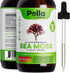 Sea Moss - Organic Liquid Drops - 1000mg - 4X Stronger Than Pills & Capsules - Ultra Concentrated Irish Moss 2oz Natural & Advanced Superfood, Immunity Booster - Joint, Digestion, and Thyroid Support