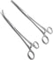 Apical Set of Kelly Forceps Locking Tweezers Clamp, Silver, Straight &Curved, 5-1/2 Inch