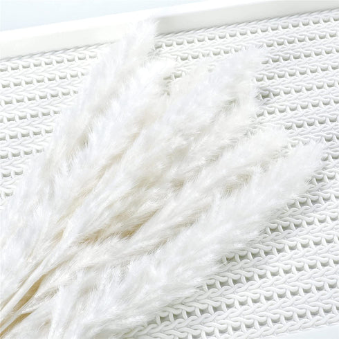 ManYmbyan 40Pcs Pampas Grass,18in Dried Pampas Grass Decor for Home Kitchen Wedding Flower Arrangement and Vase Fillings(White)