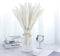 ManYmbyan 40Pcs Pampas Grass,18in Dried Pampas Grass Decor for Home Kitchen Wedding Flower Arrangement and Vase Fillings(White)