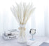 ManYmbyan 40Pcs Pampas Grass,18in Dried Pampas Grass Decor for Home Kitchen Wedding Flower Arrangement and Vase Fillings(White)
