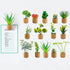 JUSTDOLIFE Plant Fridge Magnets-14 Pack Mini Succulent Plants Magnets Artificial Plants Refrigerator Magnets Potted Succulent Plants Magnet Stickers Cute for Magnet Boards Fridge Home Office Décor