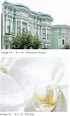 Wall Art Print Decor - Believe - 7 piece image set. 2 - 11x14, 4 - 8x10, 1-5x7 printed on Premium Fine Art Lustre paper. UNFRAMED