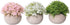 Artificial Plants?Fake Flowers Fake Plants Room Decor Artificial Green Fake Plant Artificial Plants in Pots for Home Decor Indoor ?Garden Office Wall Decoration Artificial Fake Flowers 3pcs ?01?