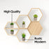 5 Artificial Succulents Plants Artificial Pot Small Fake Plants Bedroom Aesthetic Fake Succulent Plants - Cactus Decor Plants Bedroom Decor Potted Faux Succulents Desk Plant Shelf Decor Living Room