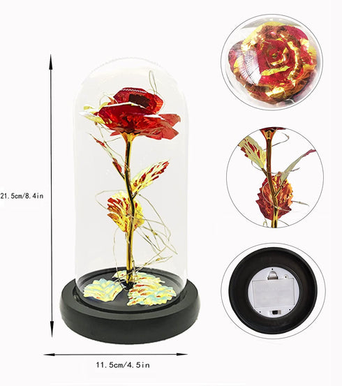 Jeekgsk Beauty and The Beast Rose Lasts Forever in A Glass Dome Artificial Colorful Roses Flower Gift for Mother's Day Valentine's Day Wedding Anniversary Girl's Birthday (Red)