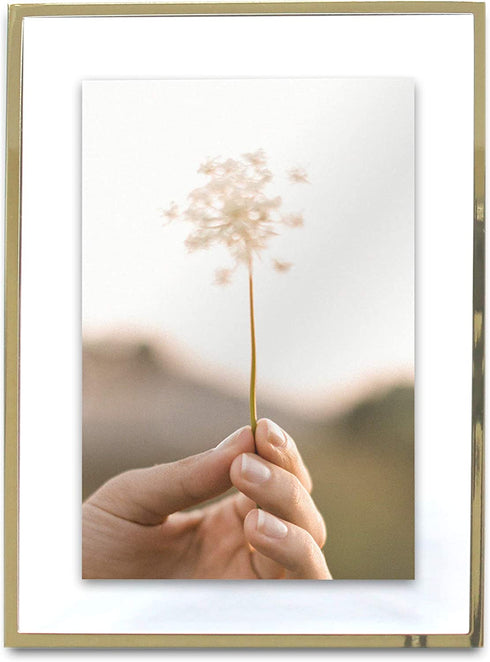 MIMOSA MOMENTS Gold Metal Floating Pressed Glass Picture Frame with Metal Easel, Photo Display for Desk (Gold, 4x6)