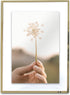 MIMOSA MOMENTS Gold Metal Floating Pressed Glass Picture Frame with Metal Easel, Photo Display for Desk (Gold, 4x6)