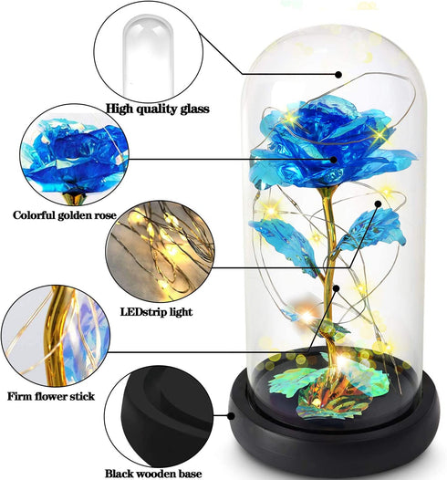 Valentines Day Gifts for Women, Birthday Gifts Thanksgiving Gifts Forever Preserved Rose Flower Gifts Beauty and The Beast Rose in Glass Dome with Warm Light, Unique Gift for Her Women Mom (Blue)