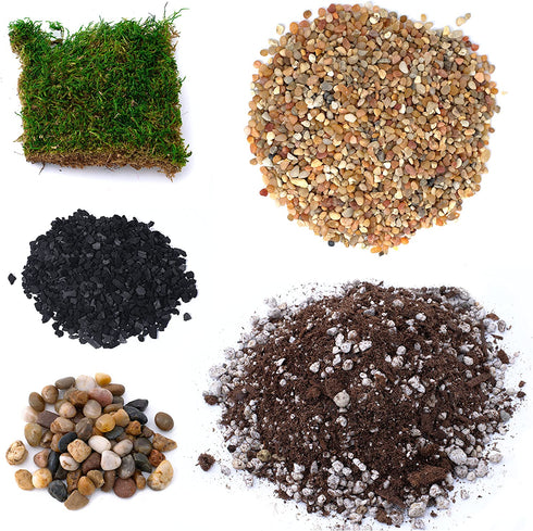 TerraGreen Creations Succulent Planter Kit - Terrarium Kit with Succulent Soil, Gravel, Pebble, Moss, Horticulture Charcoal, Terrarium Supplies For Fairy Gardens, or Cactus - Create Your Own Terrarium