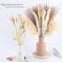 61Pcs Natural Dried Pampas Grass, 17" Tall Fluffy Pompous Grass Dried Flowers Bouquet Decor with Reed Grass/Wheats/Lagurus Ovatus/ for Boho Farmhouse Rustic Vase
