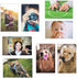 Magnetic Photo Holders for Refrigerator - Magnetic Photo Picture Frames - White Magnetic Photo Pockets - Holds 4x6 Photos (20)