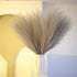 6PCS Grey Artificial Pampas Grass 14'' Faux Pampas Grass Fluffy Pampas Grass Plants Pompass Grass Branches for Home Party Office Garden Wedding Decor