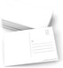 321Done Small Blank Postcards, White (Set of 50) Made in USA - 3.5x5 inches - USPS Post Office Mail Compliant Plain Empty Addressing Mailing, Create Your Own for Kids, Thick Heavy Duty Index Cards