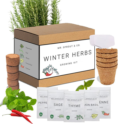 Winter Indoor Garden Kit - Herb Garden Seed Starter Kit for Gardening Indoors | Plant Grow Kit with Sage Rosemary Seeds and Hot Pepper Seeds for Planting | Growing Fresh Kitchen Herbs - By Mr Sprout