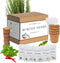 Winter Indoor Garden Kit - Herb Garden Seed Starter Kit for Gardening Indoors | Plant Grow Kit with Sage Rosemary Seeds and Hot Pepper Seeds for Planting | Growing Fresh Kitchen Herbs - By Mr Sprout
