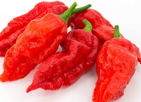 Ghost Pepper Seeds- 25+"Bhut Jolokia" by Ohio Heirloom Seeds