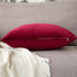 MIULEE Pack of 2 Velvet Pillow Covers Decorative Square Pillowcase Soft Solid Wine Red Cushion Case for Decor Sofa Bedroom Car 22 x 22 Inch 55 x 55 cm
