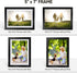 Nacial Picture Frames 5x7 Set of 4, Black Photo Frame, Display 4x6 Photo with Mat and 5x7 photo without Mat, Picture Frames Collage for Wall or Tabletop