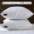 14x14 Decorative Throw Pillow Inserts-Down Feather Pillow Inserts-Square-Cotton Fabric-Set of 2-White