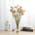Natural Dried Bunny Tail Grass - 110~120 Stems Rabbit Tail Grass, Lagurus Ovatus for Boho Decor, Dried Pampas Grass Flower Arrangements Wedding Home Kitchen Office Decor (Nature)