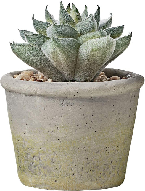 MOTINI Green Mini Artificial Succulents Plants Potted Small Faux Succulent in Cement Pots Fake Realistic Plant for Home Office Decor Indoor Outdoor, Set of 3