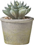 MOTINI Green Mini Artificial Succulents Plants Potted Small Faux Succulent in Cement Pots Fake Realistic Plant for Home Office Decor Indoor Outdoor, Set of 3