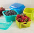 Hutzler Berry Containers, 2 pint, Turquoise