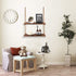 Liltime Window Plant Hanging Shelves?2 Tier Window Wall Hanging Shelf for Plant Photo Frames Decorations Display Decor for Window Kitchen Bathroom Bedroom(Rustic Brown)