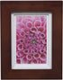 Gallery Solutions Wall Mount Double Mat Picture Frame, 4" x 6" With Mat or 5" x 7" Without Mat, Walnut,17FW1477