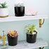 Artificial Succulent Plants Small Fake Plant in Black Pots, Cute and Realistic for Bathroom Decor, Desk Office and Home Decoration Indoor, Pack of 3