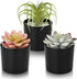 Artificial Succulent Plants Small Fake Plant in Black Pots, Cute and Realistic for Bathroom Decor, Desk Office and Home Decoration Indoor, Pack of 3