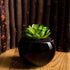 24 Pack Mini Artificial Succulent Plants Unpotted : Fake Succulents Picks Realistic Plastic Cactus Stems for Terrarium Bulk Small Faux Assorted Arrangements Flocked Greenery