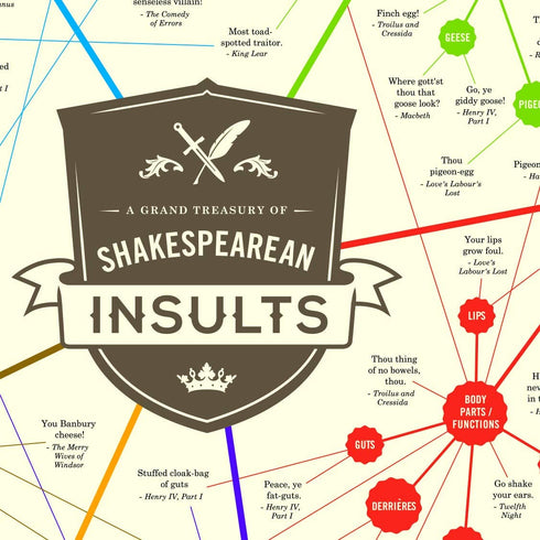 Shakespeare Insults Gift Poster - Witty and Hilarious - Great Gift For All Lovers of Books, Regular Size 16x20 inches