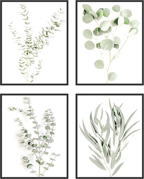 HAUS AND HUES Botanical Plant Wall Art Prints - Set of 4 Plant Wall Decor Prints, Floral Kitchen Plant Pictures, Flower Leaves Wall Art, Boho Leaf Eucalyptus Wall Décor
