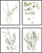 HAUS AND HUES Botanical Plant Wall Art Prints - Set of 4 Plant Wall Decor Prints, Floral Kitchen Plant Pictures, Flower Leaves Wall Art, Boho Leaf Eucalyptus Wall Décor