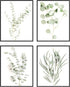 HAUS AND HUES Botanical Plant Wall Art Prints - Set of 4 Plant Wall Decor Prints, Floral Kitchen Plant Pictures, Flower Leaves Wall Art, Boho Leaf Eucalyptus Wall Décor