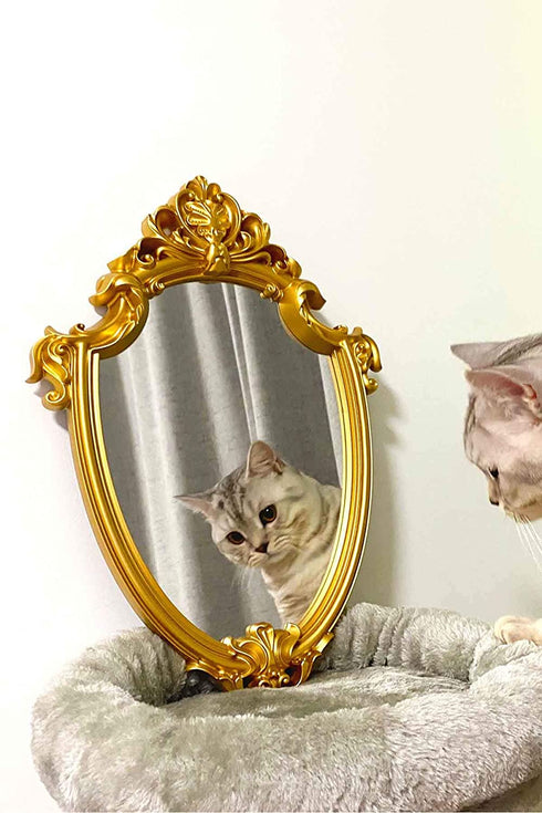 Decorative Wall Mirror of Gold Shield Shape, 16" L x 11" W