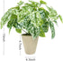 Hisow Artificial Potted Plants, 13" Faux Green Leaves Fake Plant with Natural Stone and Cement Pot Artificial Plants for Home Office Indoor and Room Decorations (A)