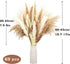 Natural Dried Pampas Grass Boho Home Decor, 65Pcs 17Inch Dried Flower Bouquet Decorative Pampas Grass for Vase Filler, Flower Arrangements, Wedding Office Decor Fluffy and Soft