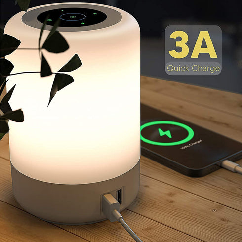 Bedside Lamp with USB Port, Touch Lamps for Bedrooms Living Room, 13 Colors RGB Dimming Lamp Touch Night Light, Christmas Birthday Gift for Kid and Adults¦
