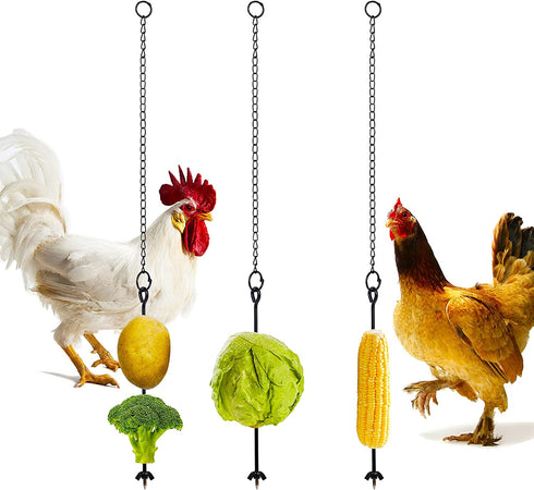 winemana 3PCS Chicken Veggies Skewer Fruit Holder for Hens Pet Chick, Coop Accessories Vegetable Hanging Feeder, Foraging Tool for Large Birds