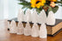 The Chrysalis Stone Selenite Skyscraper (1pc)