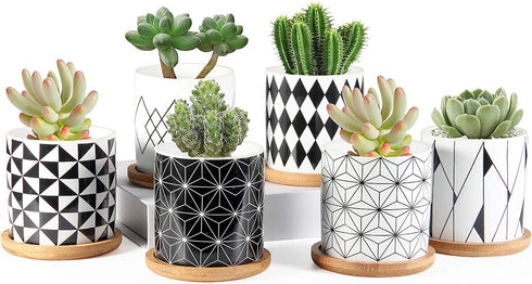 Succulent Pots, ZOUTOG 3 inch Ceramic Mini Succulent Planter Pot, Geometric Pattern Round Small Flower Pots with Drainage and Bamboo Tray, Pack of 6 - Plants Not Included