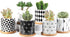 Succulent Pots, ZOUTOG 3 inch Ceramic Mini Succulent Planter Pot, Geometric Pattern Round Small Flower Pots with Drainage and Bamboo Tray, Pack of 6 - Plants Not Included