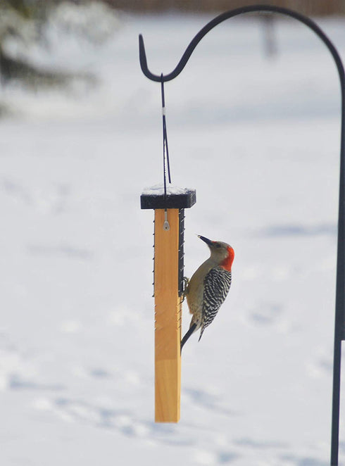 Nature's Way Cwf1 Suet Cedar BRD Feedr