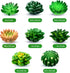 16 Pieces Cactus Succulent Refrigerator Magnets Plant Fridge Magnets Funny 3D Resin Stickers for Office Kitchen House