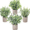 Blingstar Fake Plants 4 Pack Small Artificial Plants Mini Faux Eucalyptus Boxwood Greenery in Pots Little Potted Plant Decor for Bathroom Shelf Home Office Desk Table Centerpiece
