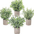 Blingstar Fake Plants 4 Pack Small Artificial Plants Mini Faux Eucalyptus Boxwood Greenery in Pots Little Potted Plant Decor for Bathroom Shelf Home Office Desk Table Centerpiece